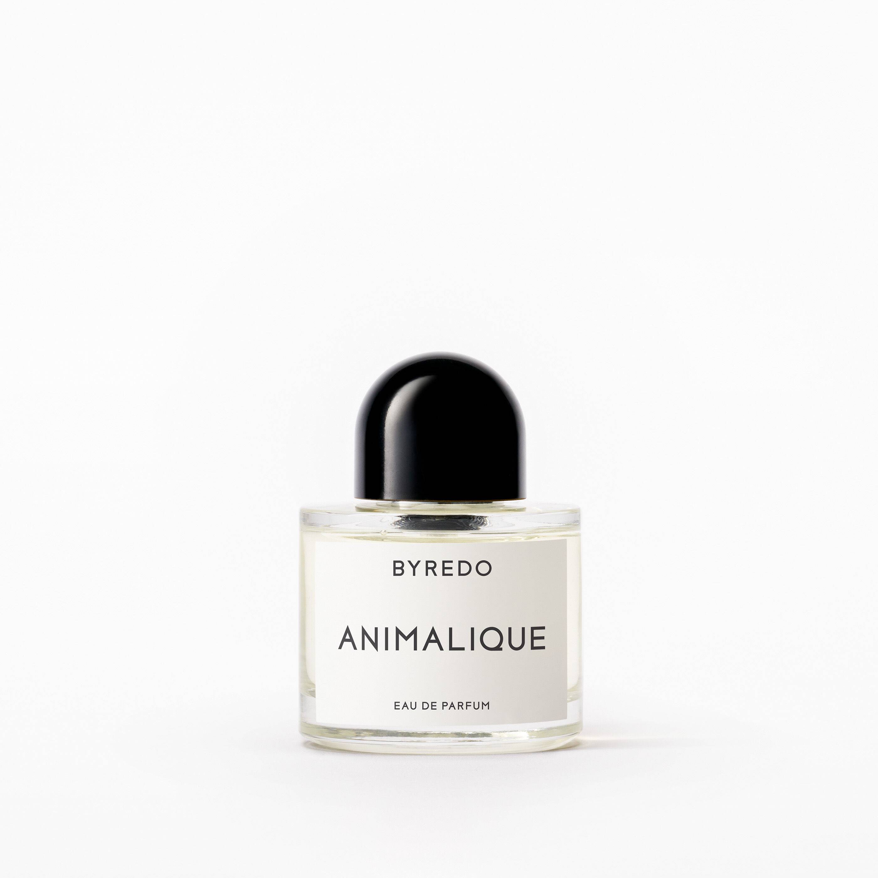 ムンバイ ノイズ ｜ オードパルファム 50ml