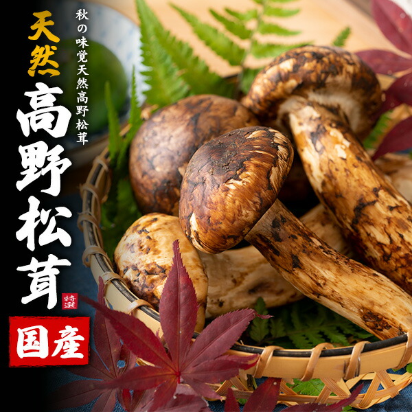 楽天市場】送料無料【 希少 天然国産 高野松茸 種類おまかせ 約200g
