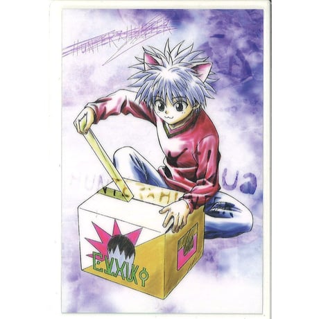 CATEGORY HUNTER×HUNTER | K-BOOKS 秋葉原