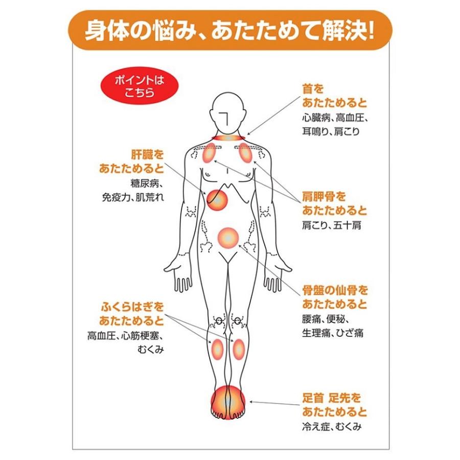 ポイント2倍付【予約販売・納期約1週間】遠赤王 遠赤外線 ボディー