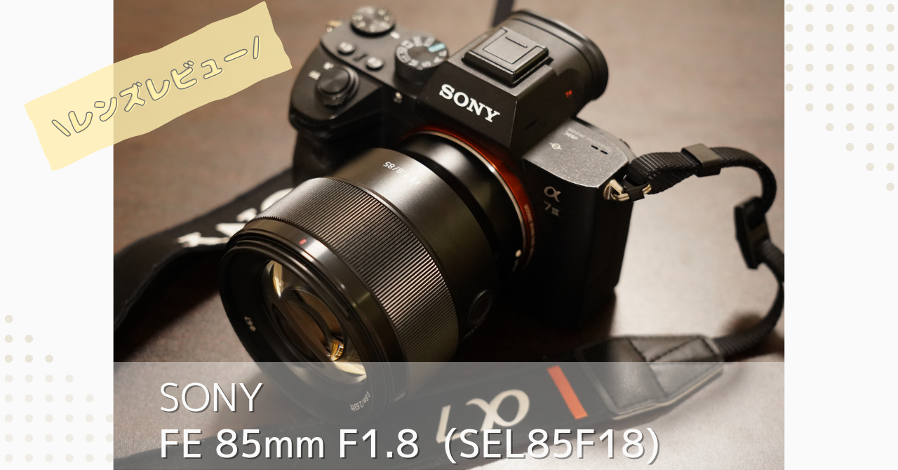 FE 85mm F1.8をレビュー｜ポートレート初心者におすすめのレンズ｜なが
