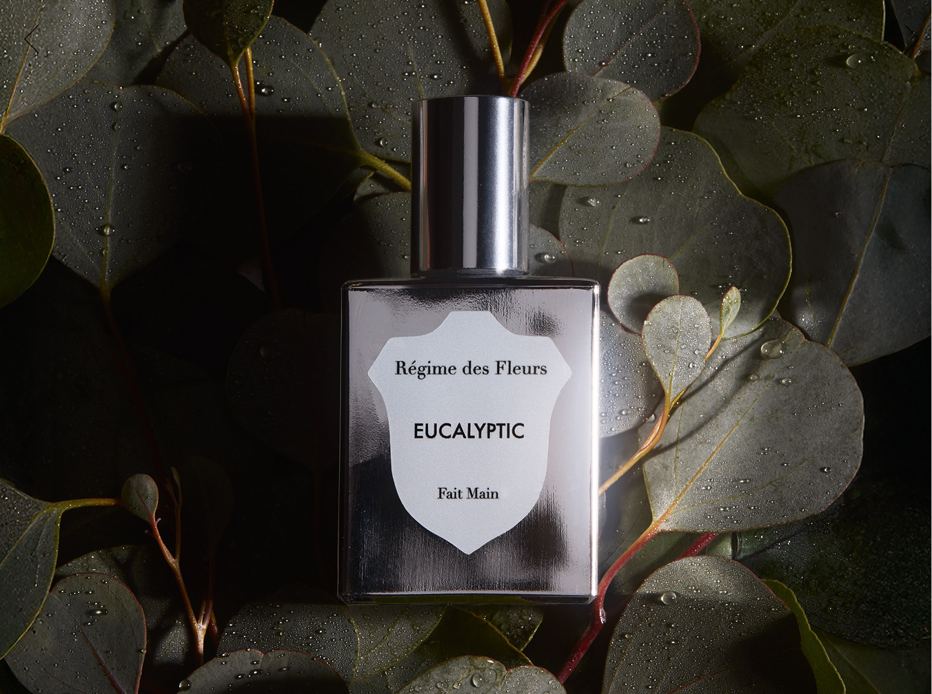 Deluxe Discovery Set – Régime des Fleurs