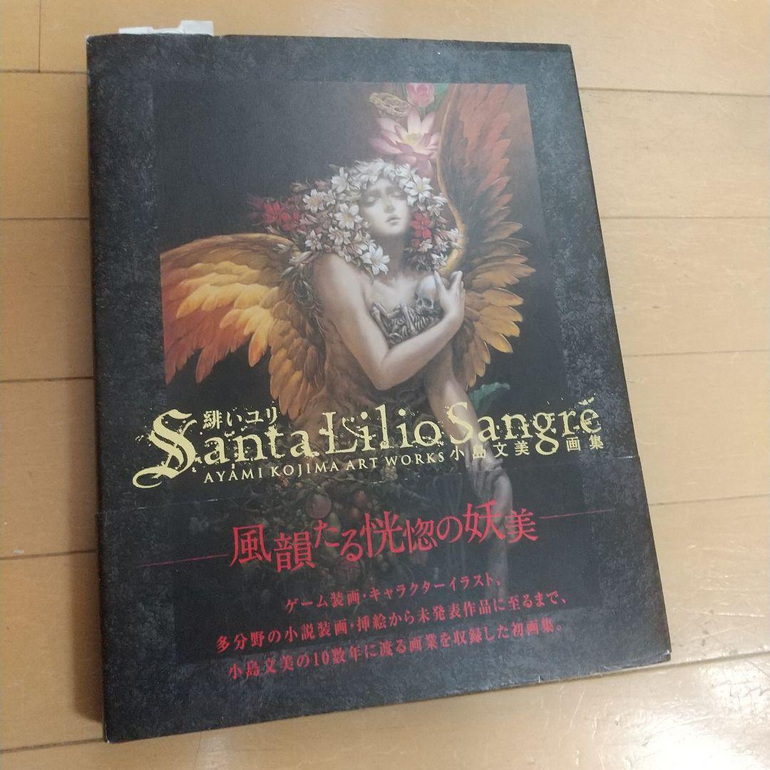 【小島文美】Santa Lilio Sangre　緋いユリ 画集 Amazon.co.jp: 緋いユリ 小島文美画集 : 小島 文美: 本